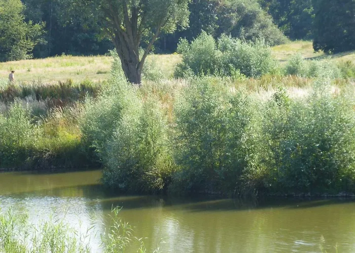 Tatil Evi Strandkorb - *